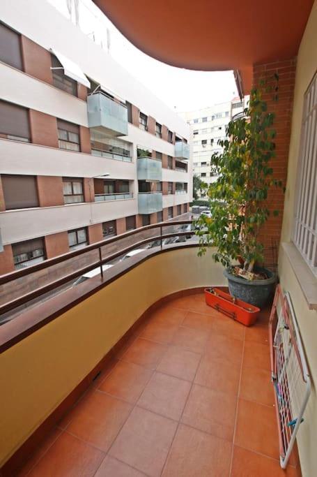 Sevilla Clasica: Amigos Y Familia. Parking Gratis! Экстерьер фото